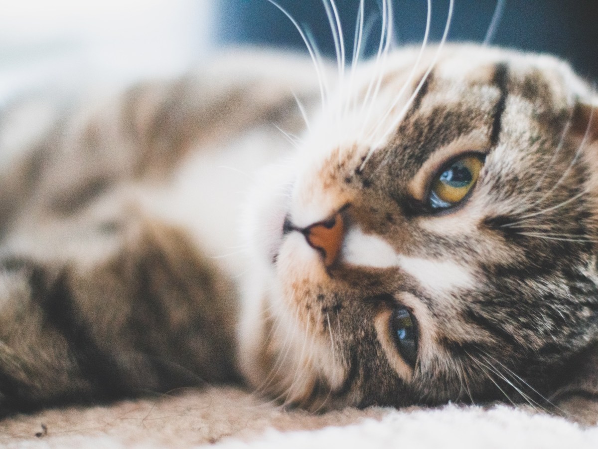 My Ideal Spring&nbsp;Break